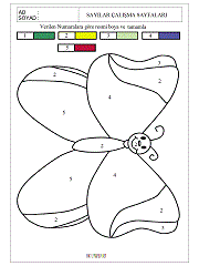 sayı kadar resim boyama çalışmaları